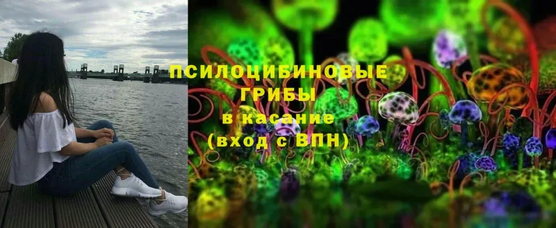 Псилоцибиновые грибы Magic Shrooms  Бузулук 